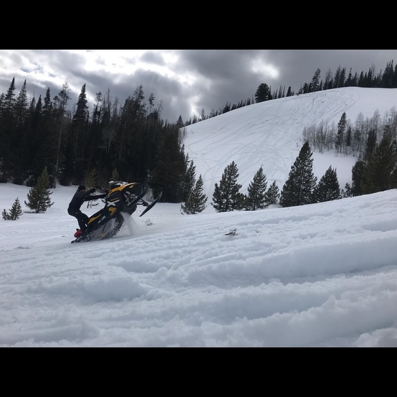 Meet your Posher, Beck - Picture 1 of 1